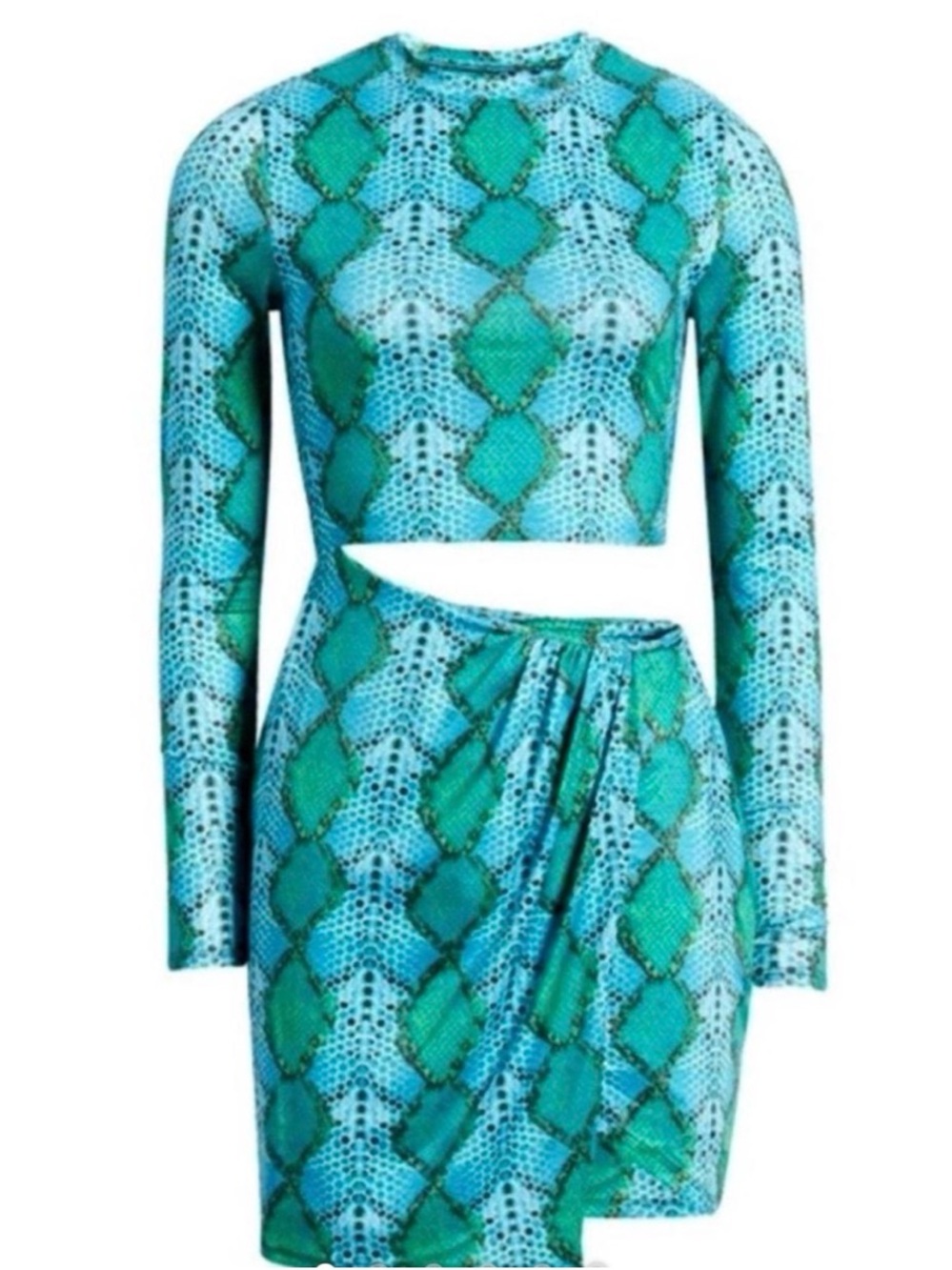AFRM Teal & Aqua Snake-Print Crop Top attached with the skirt
